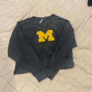 Blue/Gray Sweatshirt Ribbed with Yellow M Michigan Logo XL
